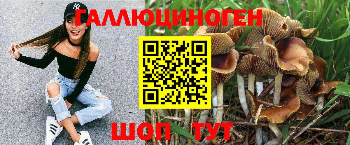 Галлюциногенные грибы ЛСД Шелехов